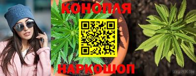 а пвп мука Ачхой-Мартан