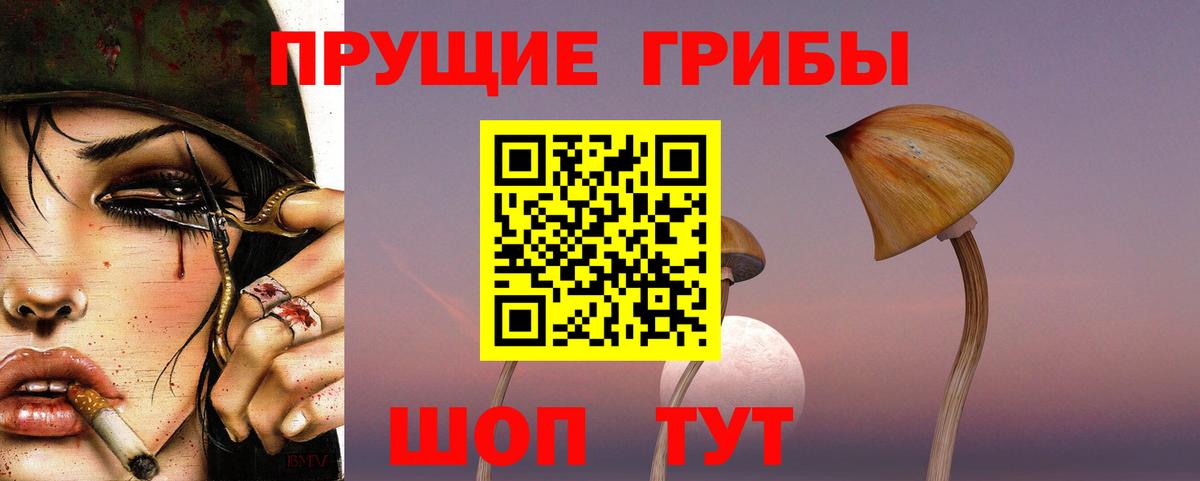 Галлюциногенные грибы MAGIC MUSHROOMS Ессентуки